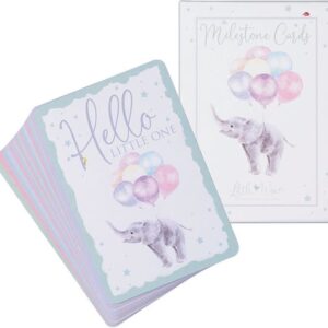 24 x Wrendale baby mijlpaalkaartjes (A6 formaat) - milestone baby cards - cadeau zwangerschap - kado zwangerschap - babyshower cadeau - hoera zwanger - zwangerschapsverlof - kraamcadeaus - mijlpaalkaarten baby - baby kado - baby cadeau