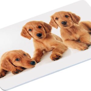 4x Ontbijtbordjes/ontbijtplankjes set puppy print 14 x 24 cm - Ontbijtborden servies - Onbreekbare bordjes voor babys/peuters/kleuters