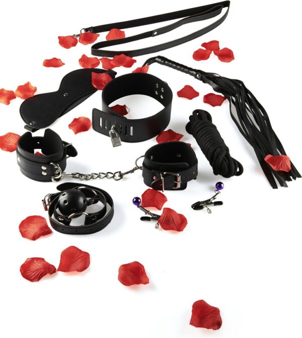 Amazing Bondage Sex Toy Kit