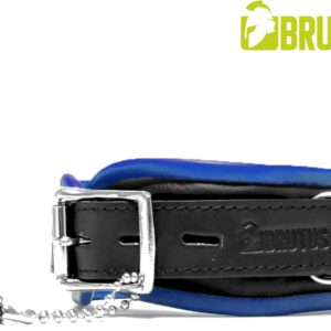 BRUTUS LEATHER - Leren Halsband - Zwart/Blauw
