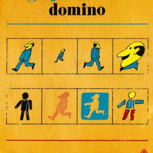Begripskonstantie Domino