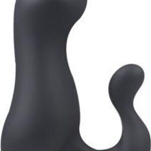 Blackdoor Collection Anaal Dildo - Voor Prostaat en Perineum - G-spot Dildo Vrouwen met Clitoris Stimulatie - 17.5 cm - Zwart