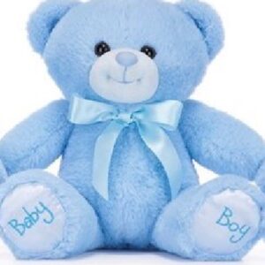 Blauwe beer ( 26 cm ) met opdruk ; Baby Boy, zacht pluche, geboorte jongen, kraamcadeau