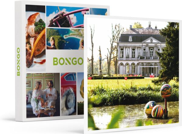 Bongo Bon - 1 ROYALE OVERNACHTING OP EEN KASTEEL OF LANDHUIS IN NEDERLAND - Cadeaukaart cadeau voor man of vrouw