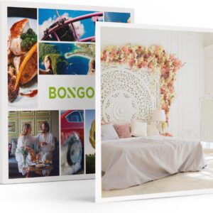 Bongo Bon - 2-DAAGSE IN EEN KASTEEL OF LANDHUIS IN NEDERLAND - Cadeaukaart cadeau voor man of vrouw