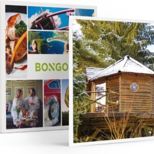 Bongo Bon - 2 DAGEN IN EEN KNUSSE BOOMHUT IN DE BELGISCHE ARDENNEN - Cadeaukaart cadeau voor man of vrouw