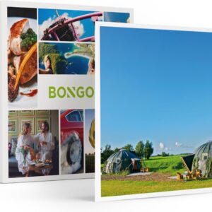 Bongo Bon - 2 DAGEN IN EEN STRO-IGLO IN DE BUURT VAN GRONINGEN - Cadeaukaart cadeau voor man of vrouw