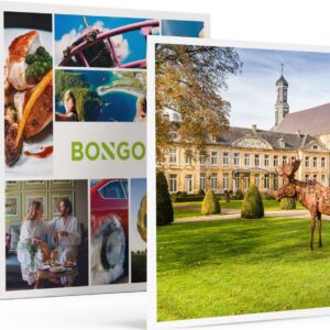 Bongo Bon - 2 DAGEN MET ONTBIJT, DINER EN WELLNESS IN 4-STERRENHOTEL IN VALKENBURG - Cadeaukaart cadeau voor man of vrouw
