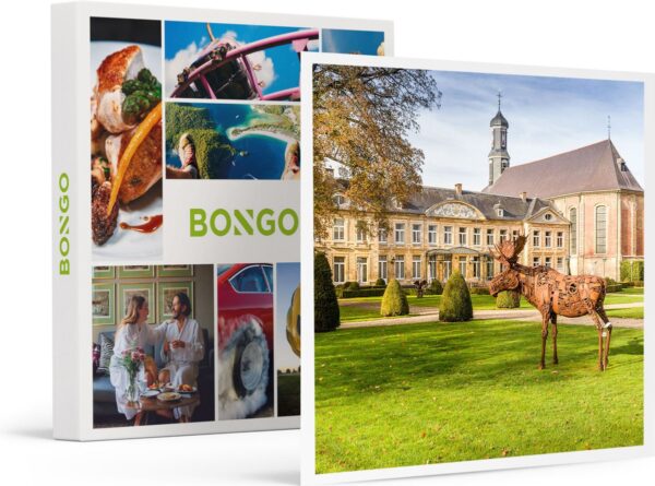 Bongo Bon - 2 DAGEN MET ONTBIJT, DINER EN WELLNESS IN 4-STERRENHOTEL IN VALKENBURG - Cadeaukaart cadeau voor man of vrouw