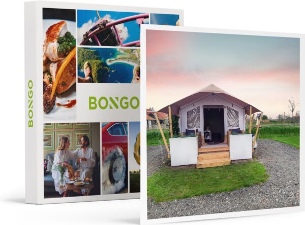 Bongo Bon - 2 DAGEN OP DE FRIESE MINI-CAMPING OER DE HASKE IN EEN SAFARITENT S - Cadeaukaart cadeau voor man of vrouw