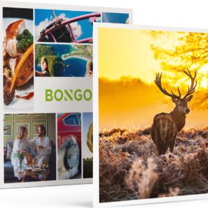 Bongo Bon - 2 HEERLIJKE DAGEN OP DE VELUWE MET DINER - Cadeaukaart cadeau voor man of vrouw