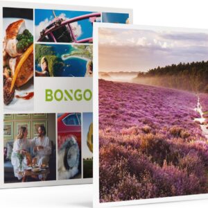 Bongo Bon - 2 ONTSPANNEN DAGEN OP DE VELUWE - Cadeaukaart cadeau voor man of vrouw