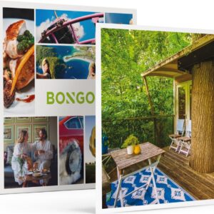 Bongo Bon - 2 ROMANTISCHE DAGEN IN EEN BOOMHUT IN LELYSTAD - Cadeaukaart cadeau voor man of vrouw