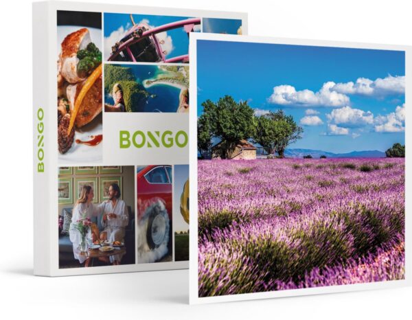 Bongo Bon - 3-DAAGSE MET ONTBIJT IN FRANKRIJK - Cadeaukaart cadeau voor man of vrouw