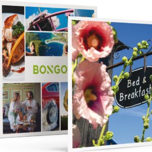 Bongo Bon - 3 DAGEN IN EEN BIJZONDERE B&B IN NEDERLAND - Cadeaukaart cadeau voor man of vrouw