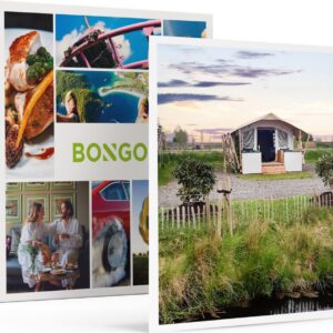 Bongo Bon - 3 DAGEN OP DE FRIESE MINI-CAMPING OER DE HASKE IN EEN SAFARITENT - Cadeaukaart cadeau voor man of vrouw