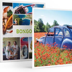 Bongo Bon - CRUISEN IN EEN CITROËN 2CV IN ZUID-HOLLAND VOOR 4 PERSONEN - Cadeaukaart cadeau voor man of vrouw