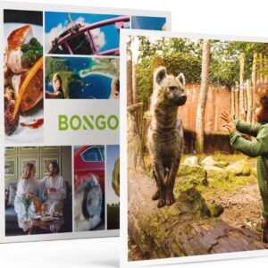 Bongo Bon - DAGJE DIERENPARK AMERSFOORT VOOR 1 VOLWASSENE EN 1 KIND - Cadeaukaart cadeau voor man of vrouw