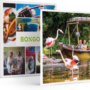 Bongo Bon - FAMILIEDAG IN BELLEWAERDE - Cadeaukaart cadeau voor man of vrouw