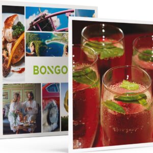 Bongo Bon - HIGH COCKTAIL MET BORRELPLANK VOOR 2 BIJ THIJS & AAFKE IN DRENTHE - Cadeaukaart cadeau voor man of vrouw