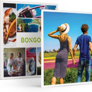 Bongo Bon - WANDELEN IN NEDERLAND - Cadeaukaart cadeau voor man of vrouw