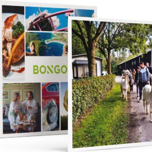 Bongo Bon - WANDELING EN MEET & FEED OP ALPACABOERDERIJ IN ZEELAND VOOR 2 - Cadeaukaart cadeau voor man of vrouw
