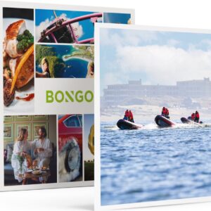 Bongo Bon - ZEEHONDEN SPOTTEN OP DE WESTERSCHELDE VOOR 3 PERSONEN - Cadeaukaart cadeau voor man of vrouw