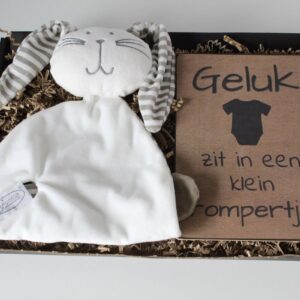 Brievenbus cadeau knuffel konijn wit - tekstbord - knuffel - kraamcadeau - cadeau zwangerschap