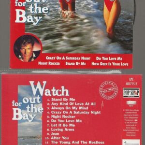 David Hasselhoff - Watch Out For The Bay