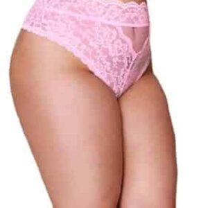 Dreamgirl (All) High Waisted Lace Panty pink 2X