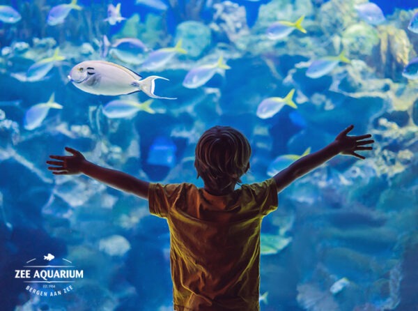 Entreeticket Zee Aquarium Bergen aan Zee