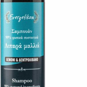 Evergetikon - Shampoo Vette Hoofdhuid - Shampoo Tegen Vet Haar