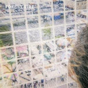 Forest Fire - Staring At The X (CD)