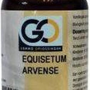 GO Equisetum arvense 100 ml