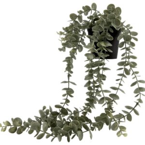 HEMA Kunstplant Eucalyptus (groen)