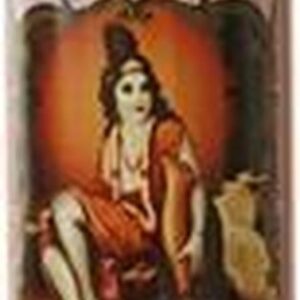 Henne color acajou / rood shampoo op henna basis 250 ml