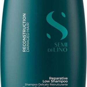 Herstellende Shampoo Alfaparf Milano Semi Di Lino 1 L