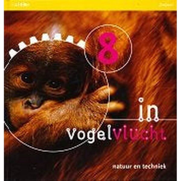 In Vogelvlucht versie 2 leerlingenboek groep 8