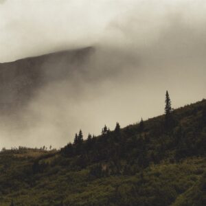 Lord Buffalo - Tohu Wa Bohu (LP)