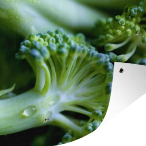 Muurdecoratie Close-up van stukjes broccoli - 180x120 cm - Tuinposter - Tuindoek - Buitenposter