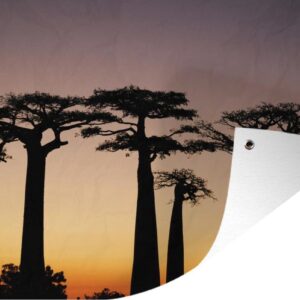 Muurdecoratie Een silhouet van meerdere Afrikaanse baobab bomen bij zonsondergang - 180x120 cm - Tuinposter - Tuindoek - Buitenposter