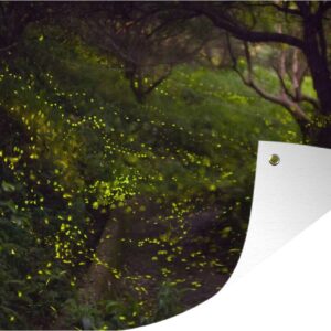 Muurdecoratie Grote groep gloeiwormen vliegen door een bos - 180x120 cm - Tuinposter - Tuindoek - Buitenposter
