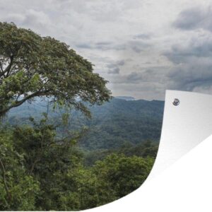 Muurdecoratie Jungle van het Nationaal Park Bwindi Impenetrable in Oeganda - 180x120 cm - Tuinposter - Tuindoek - Buitenposter
