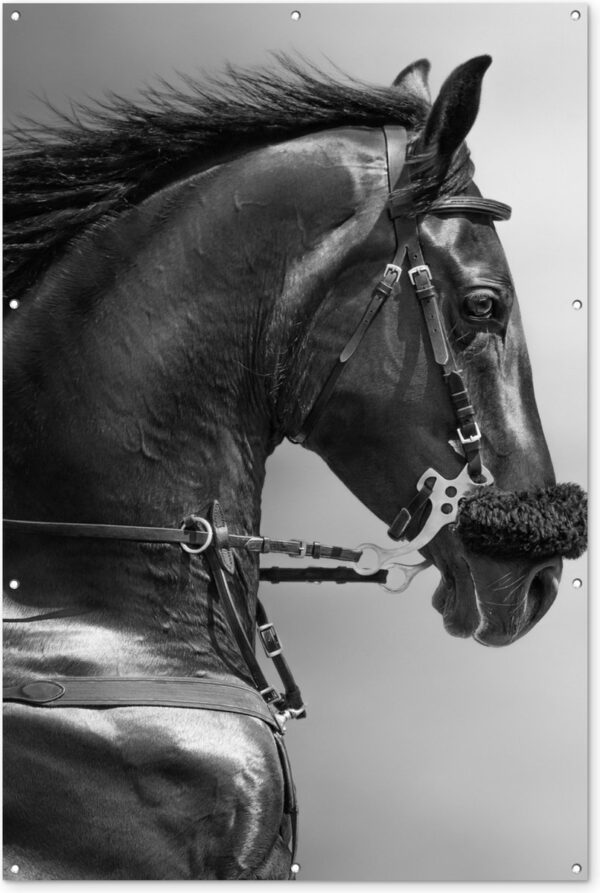 Muurdecoratie Paarden - Zwart - Portret - Dieren - 120x180 cm - Tuinposter - Tuindoek - Buitenposter