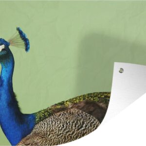 Muurdecoratie Pauw - Vogel - Veren - 180x120 cm - Tuinposter - Tuindoek - Buitenposter