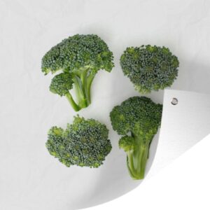 Muurdecoratie Stukjes broccoli op een witte achtergrond - 180x120 cm - Tuinposter - Tuindoek - Buitenposter