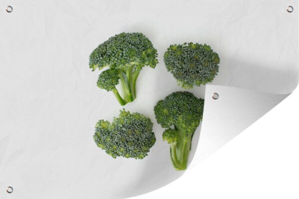 Muurdecoratie Stukjes broccoli op een witte achtergrond - 180x120 cm - Tuinposter - Tuindoek - Buitenposter