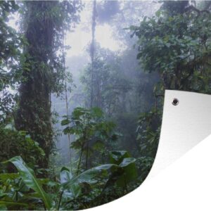 Muurdecoratie Tropische bomen in het Bosque Nuboso Monteverde - 180x120 cm - Tuinposter - Tuindoek - Buitenposter
