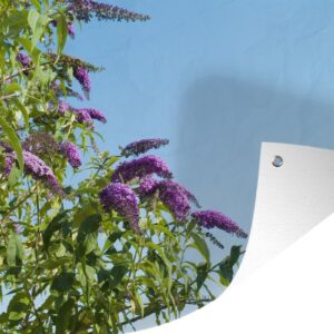 Muurdecoratie Vlinderstruik tegen blauwe hemel - 180x120 cm - Tuinposter - Tuindoek - Buitenposter