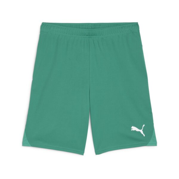 PUMA teamGOAL Voetbalbroekje Groen Wit